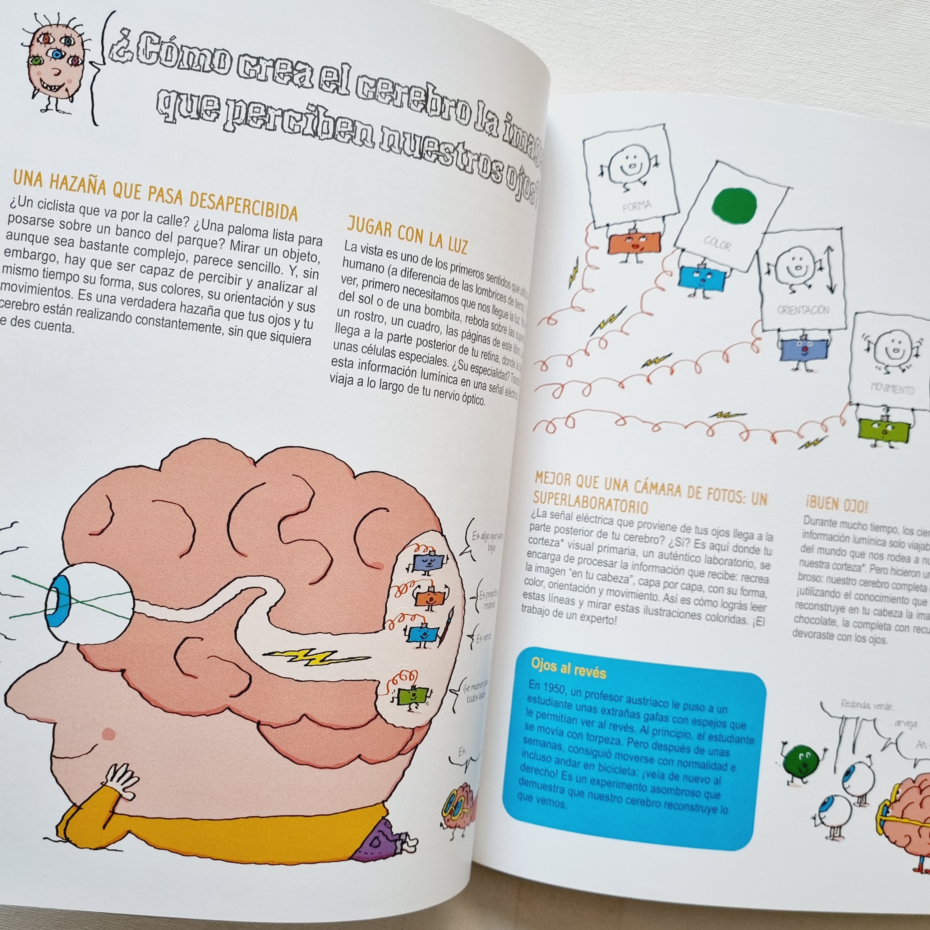 El cerebro para curiosos. De 7 a 107 años El cerebro para curiosos. De 7 a 107 años
